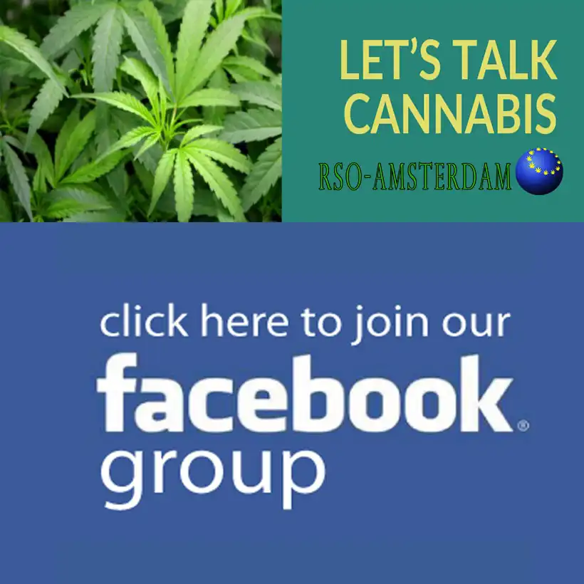 Join the RSO Amsterdam community on Facebook